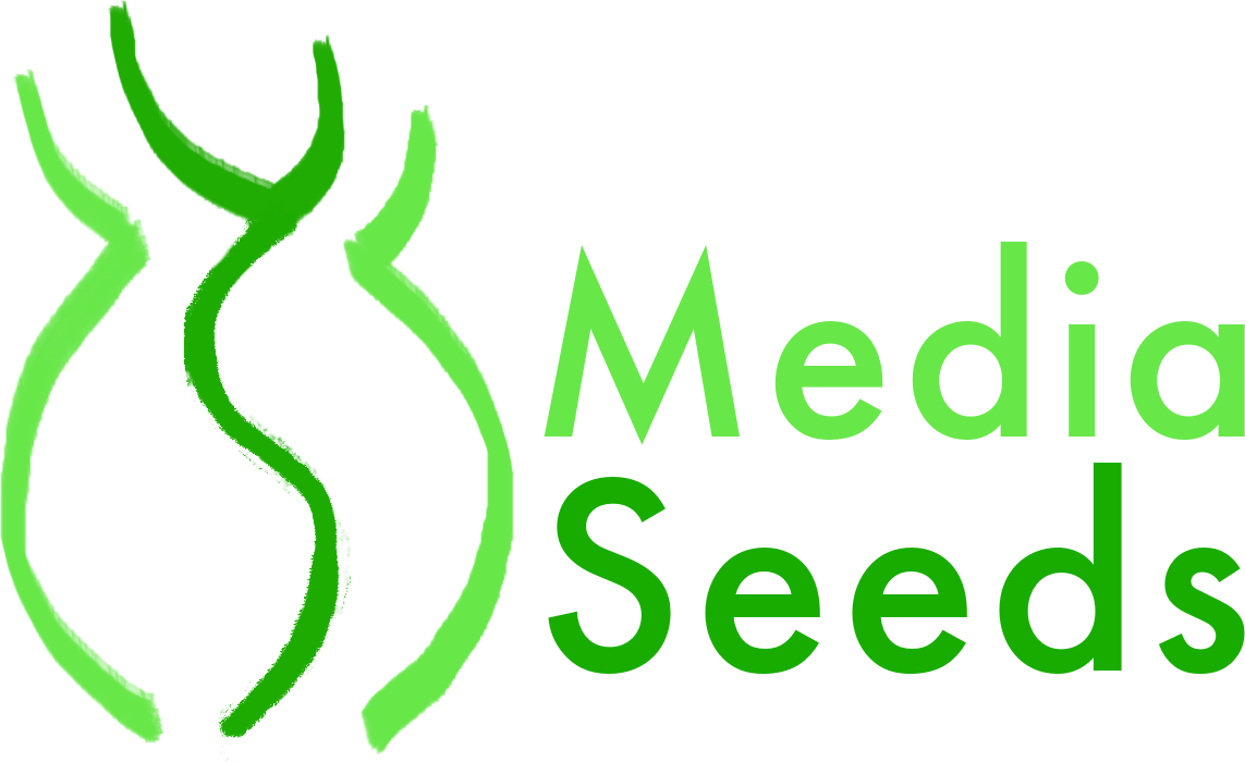MediaSeeds
