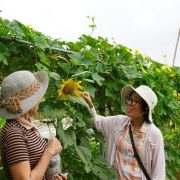 Conservation of SEED